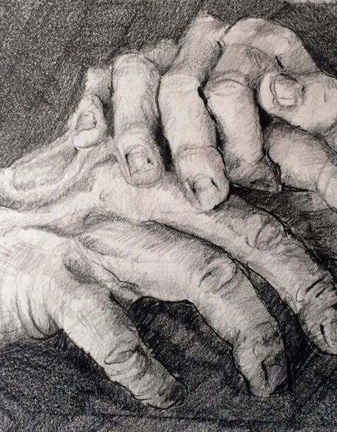 Anatomical Explorations