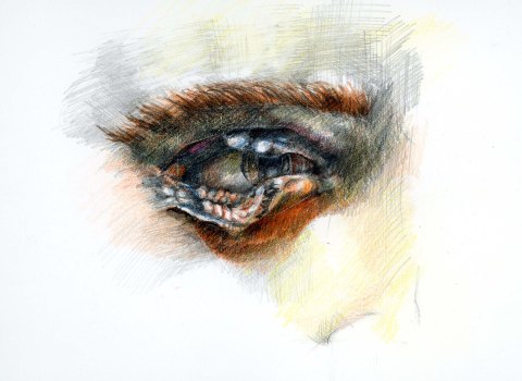 Mütter Specimen Illustrations