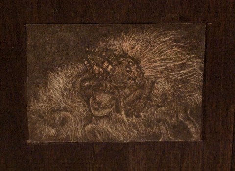 Sheep and Goat Reflection&nbsp;Books